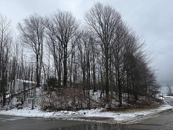 0.34 Acres of Residential Land for Sale in Ludington, Michigan