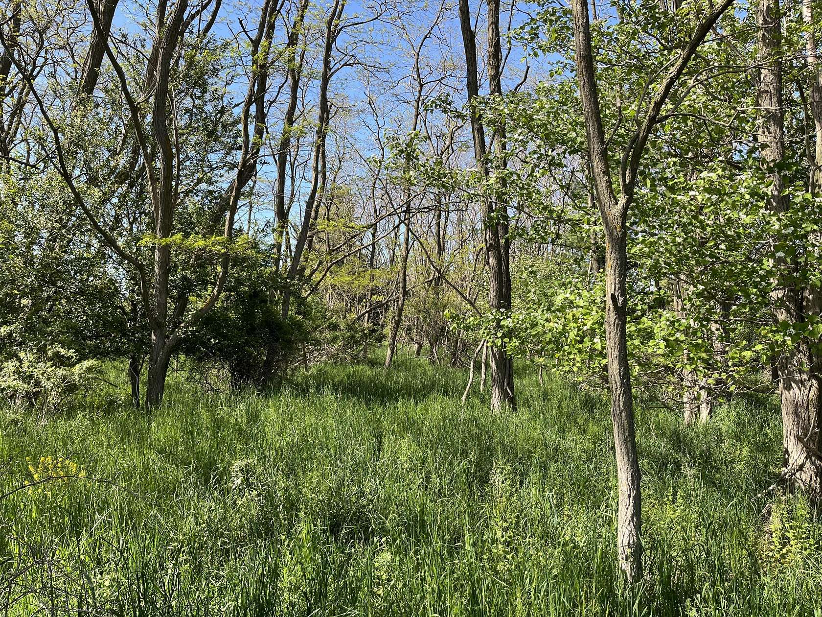 1.89 Acres of Residential Land for Sale in Manistee, Michigan