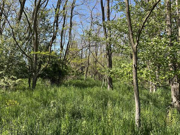 1.89 Acres of Residential Land for Sale in Manistee, Michigan