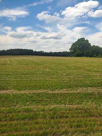 4 Acres of Residential Land for Sale in Taylorsville, Georgia
