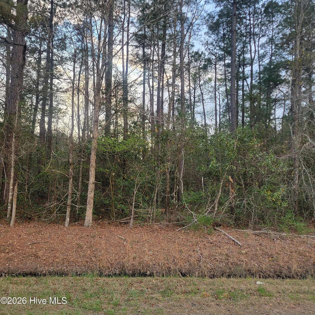 3.25 Acres of Residential Land for Sale in Rocky Point, North Carolina