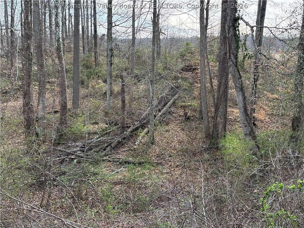 1 Acre of Residential Land for Sale in St. Albans, West Virginia