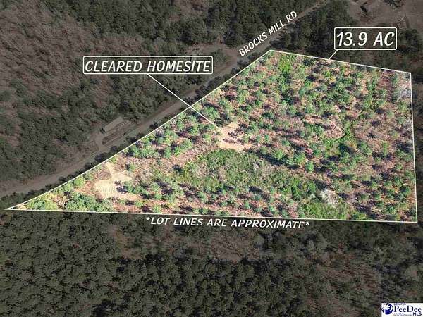 13.9 Acres of Land for Sale in Chesterfield, South Carolina