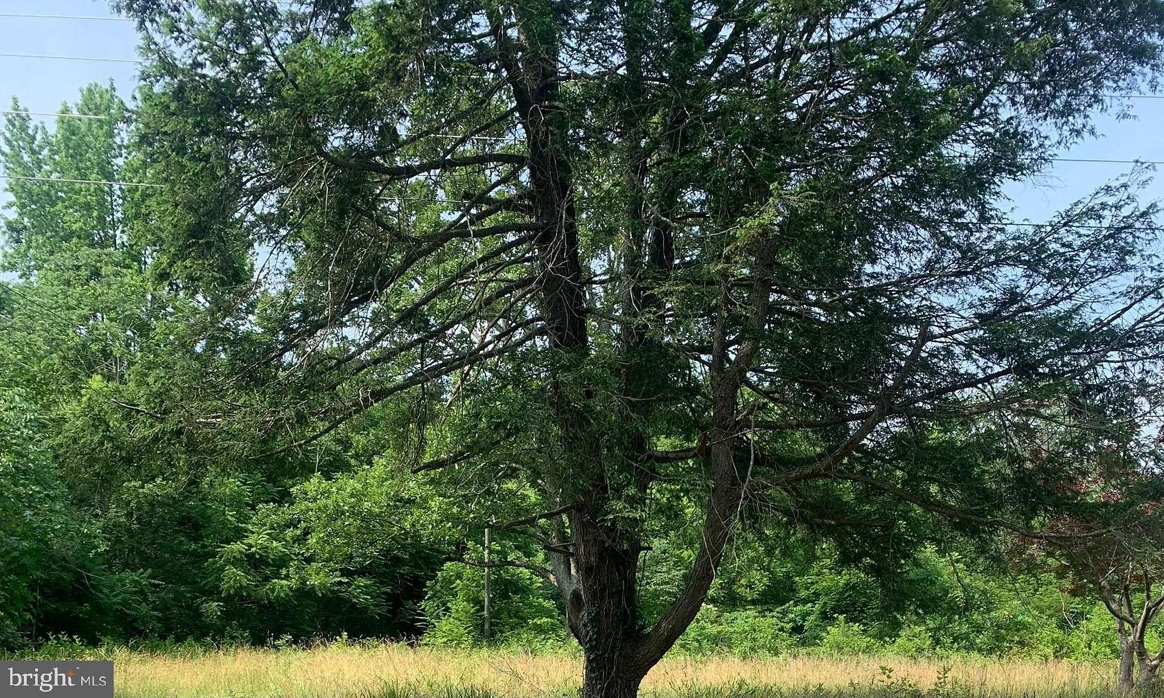 7 Acres of Residential Land for Sale in Spotsylvania, Virginia