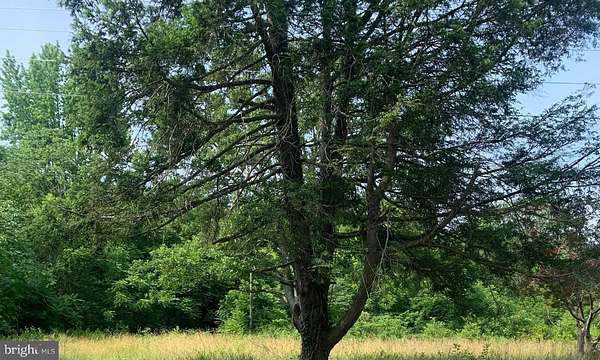 7 Acres of Residential Land for Sale in Spotsylvania, Virginia