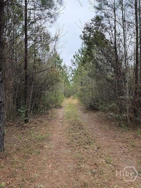 17.7 Acres of Land for Sale in Rincon, Georgia