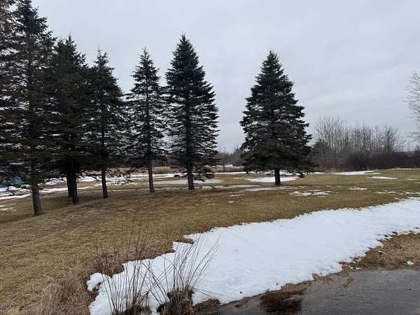 1 Acre of Land for Sale in Merritt, Michigan
