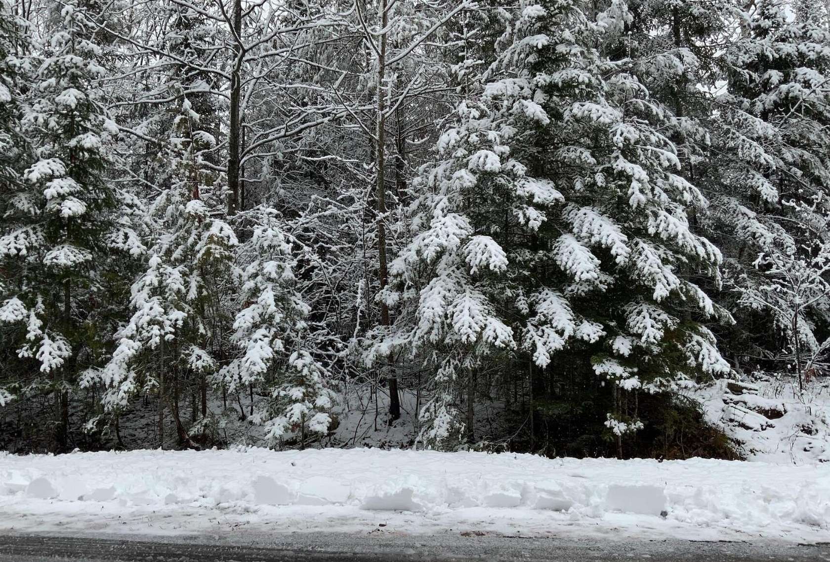 0.36 Acres of Residential Land for Sale in Presque Isle, Michigan