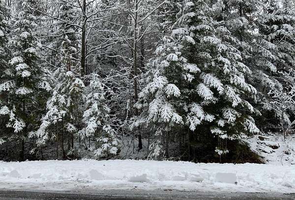 0.36 Acres of Residential Land for Sale in Presque Isle, Michigan