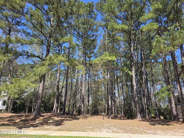 0.36 Acres of Residential Land for Sale in Bluffton, South Carolina