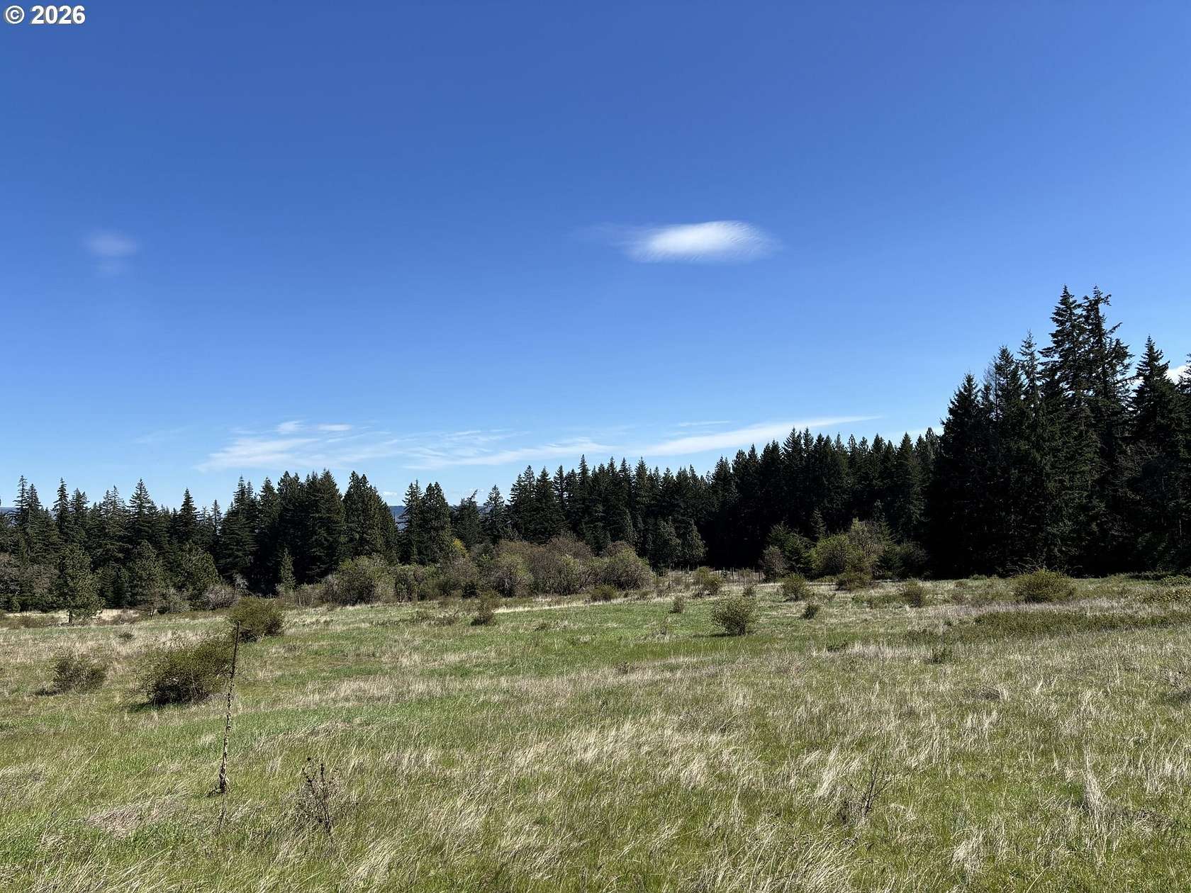 19.4 Acres of Land for Sale in White Salmon, Washington