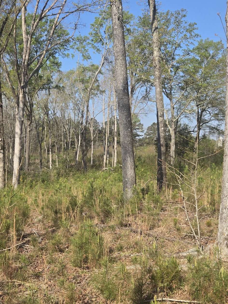 8.4 Acres of Residential Land for Sale in Lincolnton, Georgia