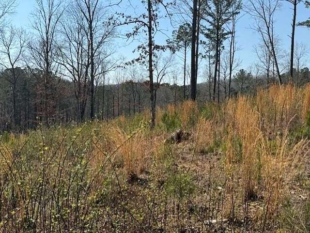 1.65 Acres of Residential Land for Sale in Talking Rock, Georgia