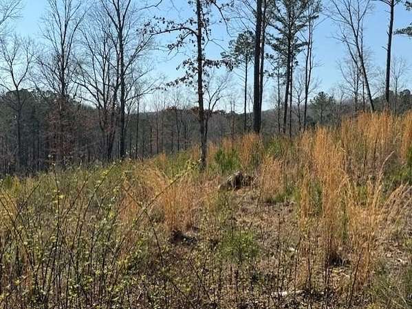 1.65 Acres of Residential Land for Sale in Talking Rock, Georgia