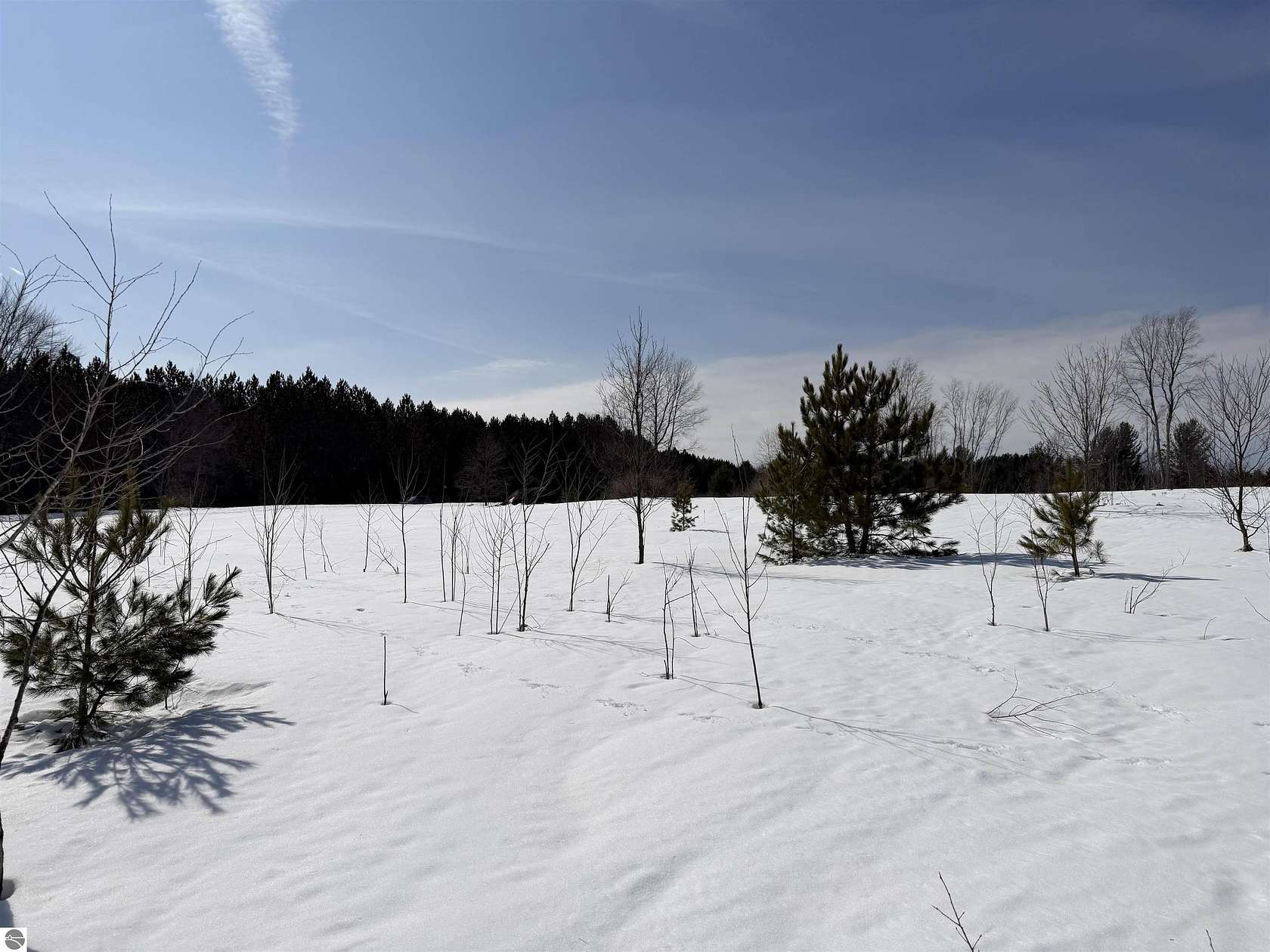 15 Acres of Recreational & Residential Land for Sale in Thompsonville, Michigan