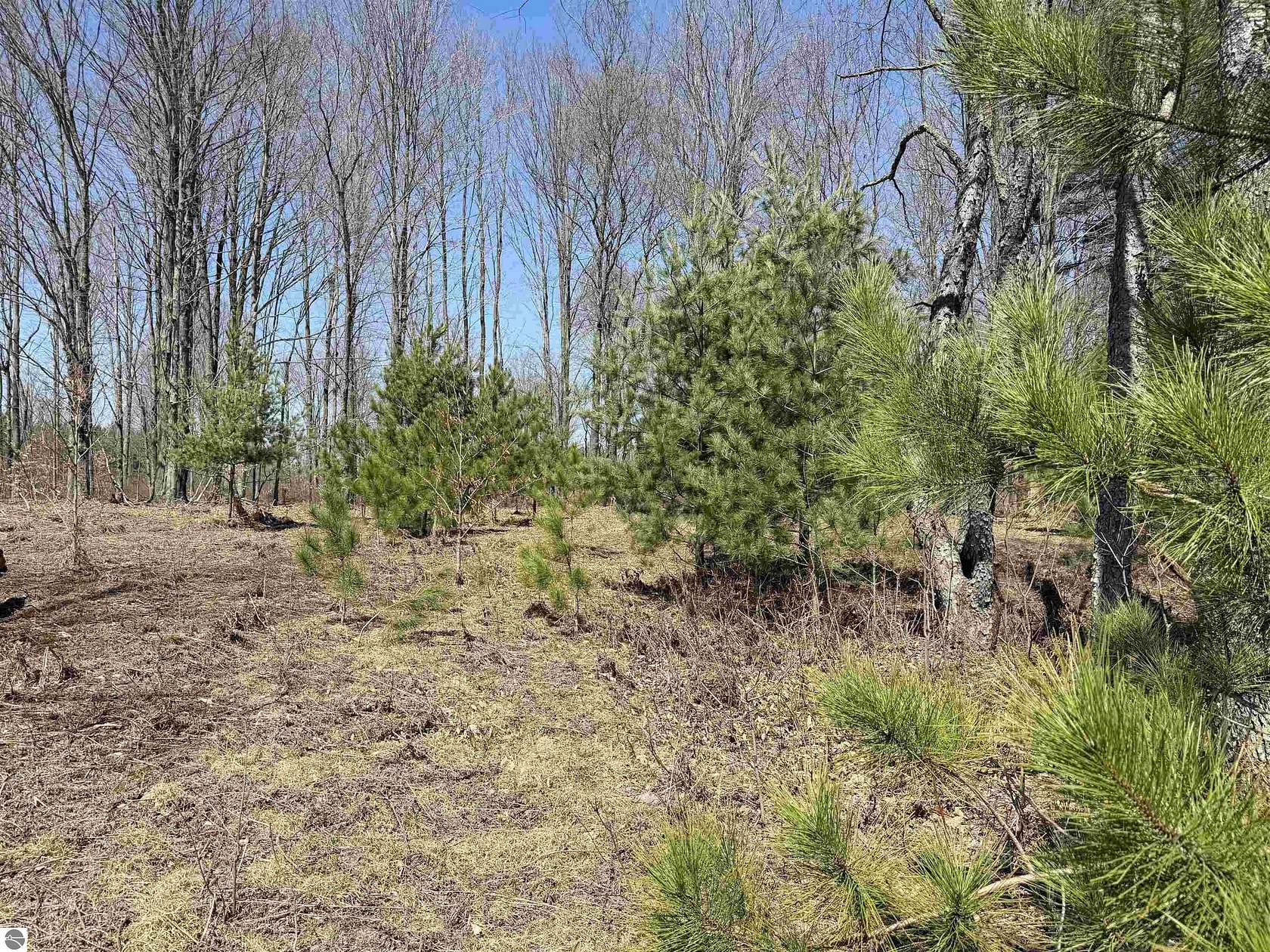 15 Acres of Recreational & Residential Land for Sale in Thompsonville, Michigan