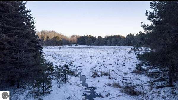 10.1 Acres of Land for Sale in Kingsley, Michigan