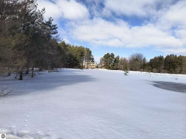 10.1 Acres of Land for Sale in Kingsley, Michigan