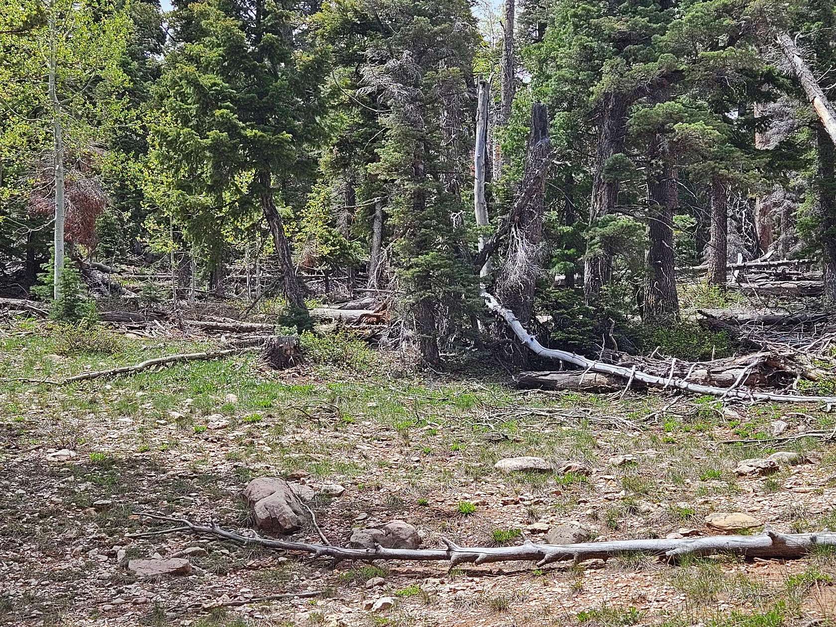 0.5 Acres of Residential Land for Sale in Duck Creek Village, Utah