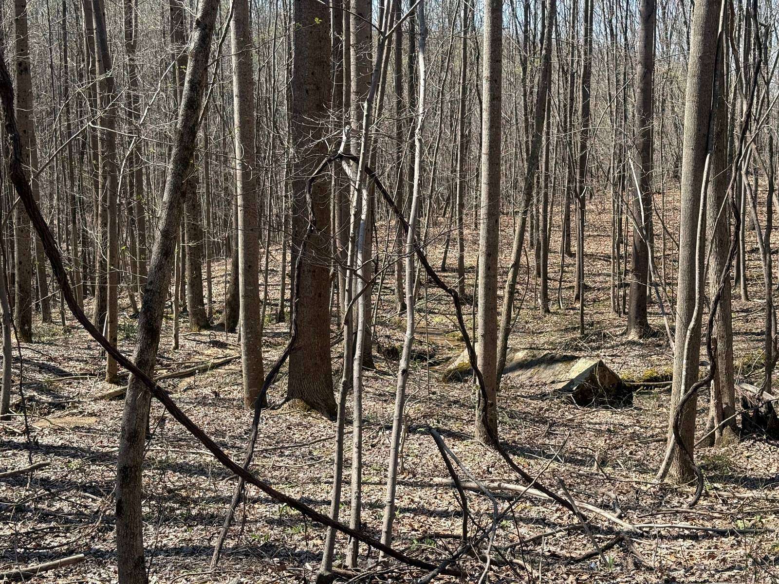 1.29 Acres of Residential Land for Sale in Fort Payne, Alabama