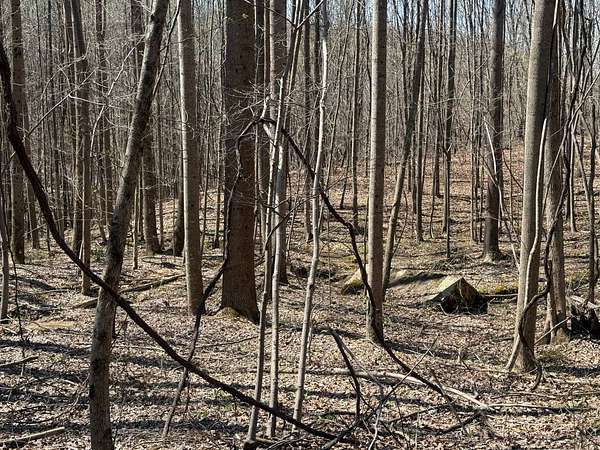 1.29 Acres of Residential Land for Sale in Fort Payne, Alabama