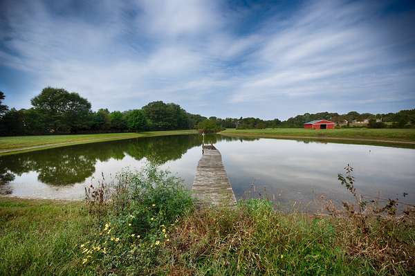 15 Acres of Land for Sale in Ardmore, Tennessee