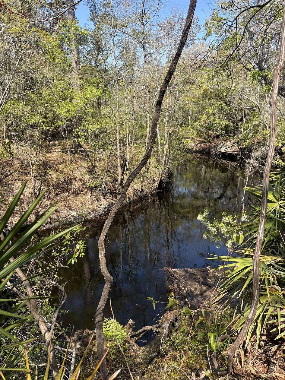 0.5 Acres of Land for Sale in Sopchoppy, Florida