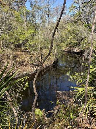 0.5 Acres of Land for Sale in Sopchoppy, Florida