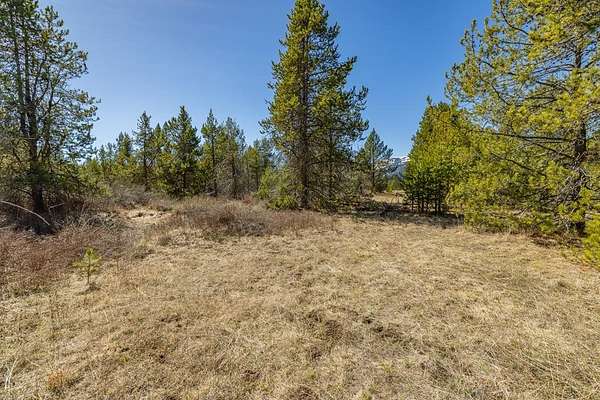 0.55 Acres of Land for Sale in Donnelly, Idaho