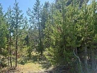 0.55 Acres of Land for Sale in Donnelly, Idaho