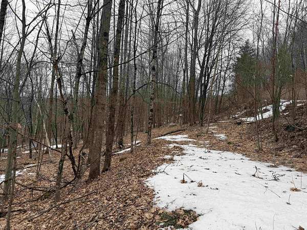 3.46 Acres of Land for Sale in Strafford, Vermont