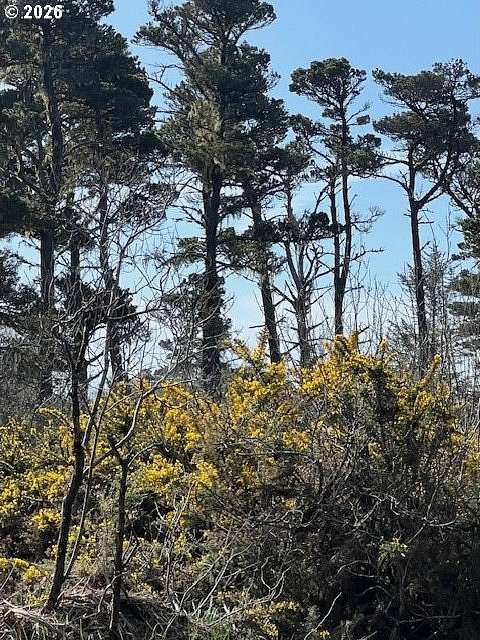 1.16 Acres of Residential Land for Sale in Bandon, Oregon