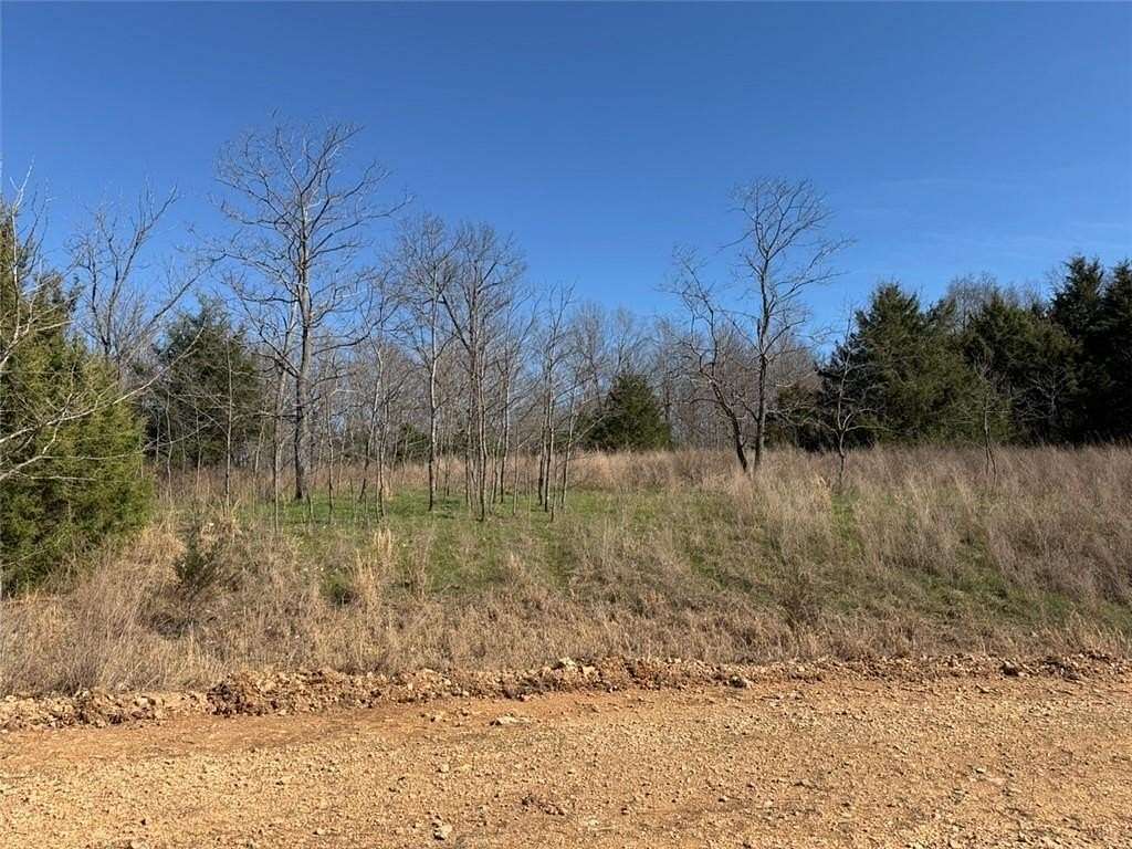 24.6 Acres of Land for Sale in Pyatt, Arkansas