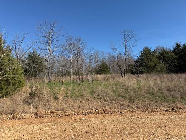 24.6 Acres of Land for Sale in Pyatt, Arkansas