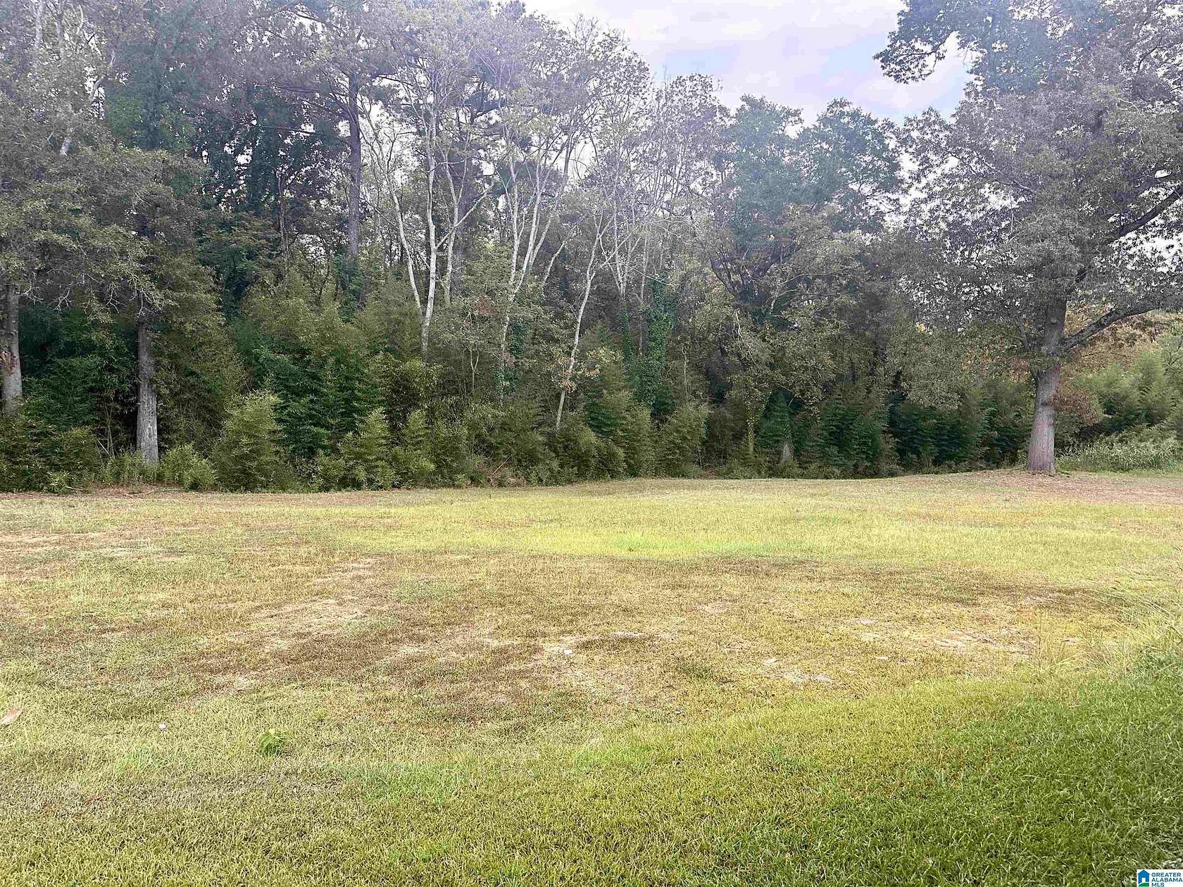 Residential Land for Sale in Lincoln, Alabama