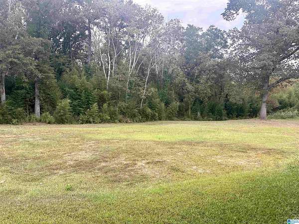 Residential Land for Sale in Lincoln, Alabama