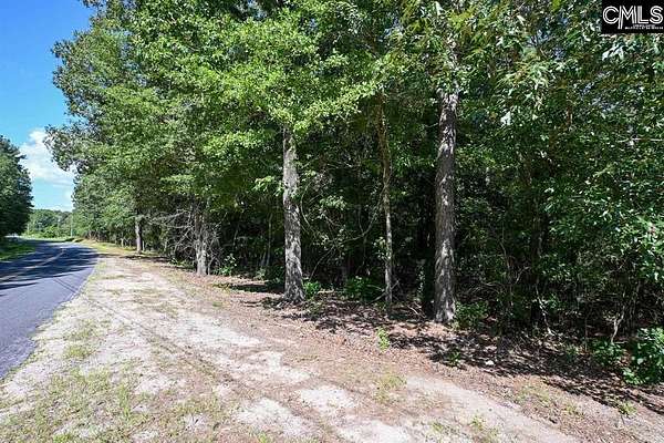 4.82 Acres of Residential Land for Sale in Orangeburg, South Carolina