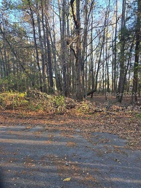 Residential Land for Sale in Brunson, South Carolina
