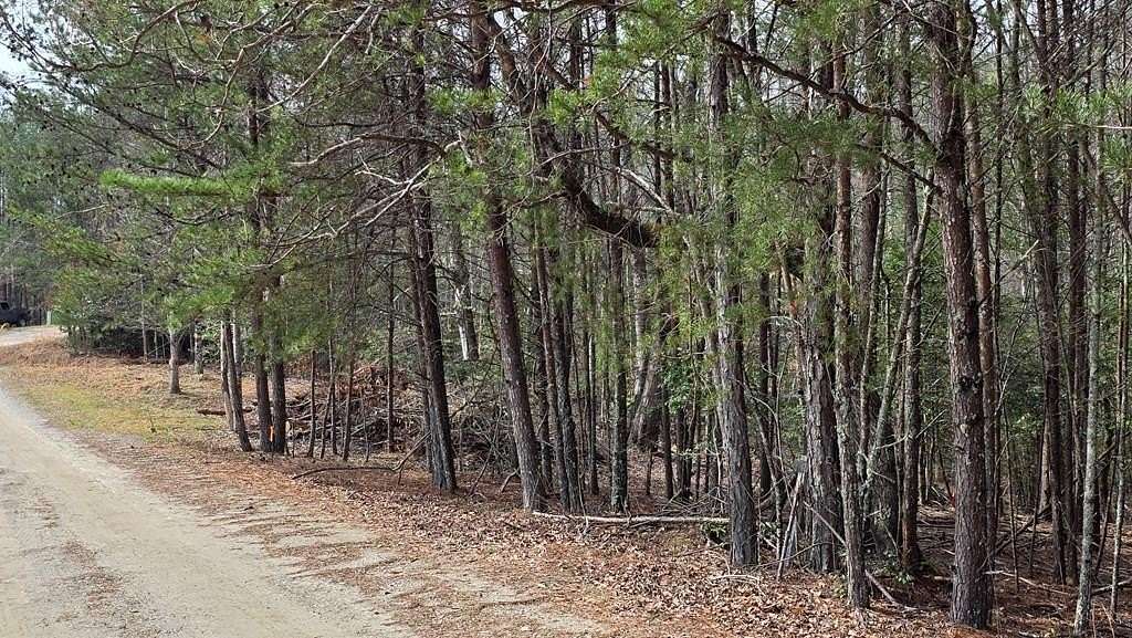 1 Acre of Land for Sale in Warne, North Carolina