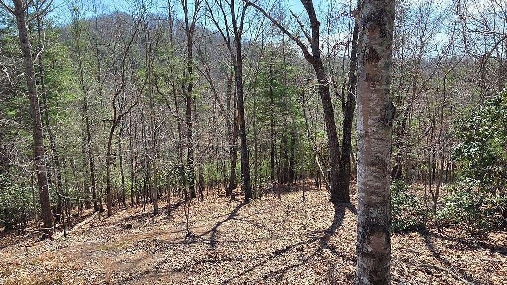 1 Acre of Land for Sale in Warne, North Carolina