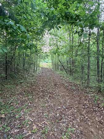 16.3 Acres of Recreational & Residential Land for Sale in Blue Springs, Mississippi