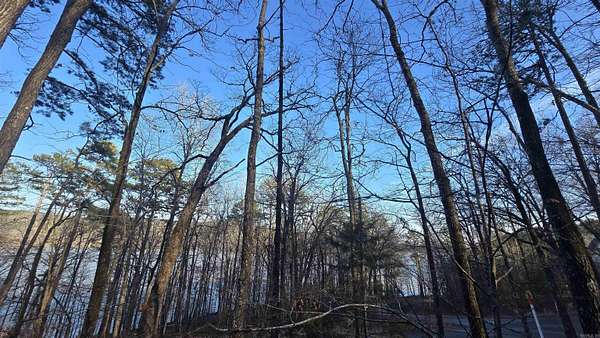 1 Acre of Residential Land for Sale in Edgemont, Arkansas