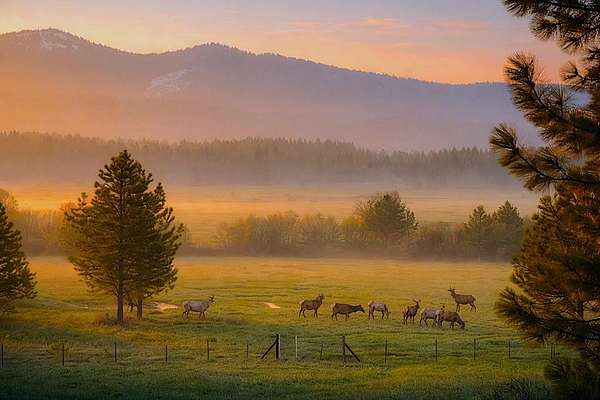 12.3 Acres of Land for Sale in McCall, Idaho