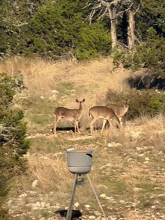 20.3 Acres of Recreational Land with Home for Sale in Rocksprings, Texas