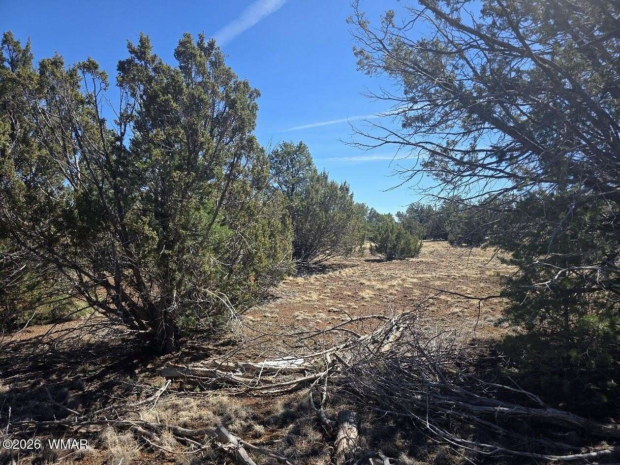 1 Acre of Land for Sale in Vernon, Arizona