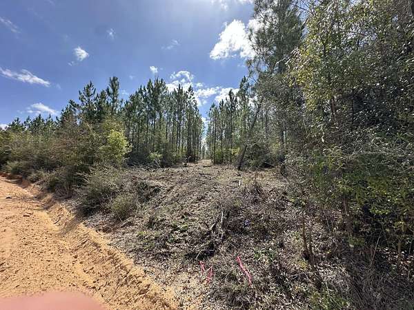 14 Acres of Recreational Land for Sale in Caryville, Florida