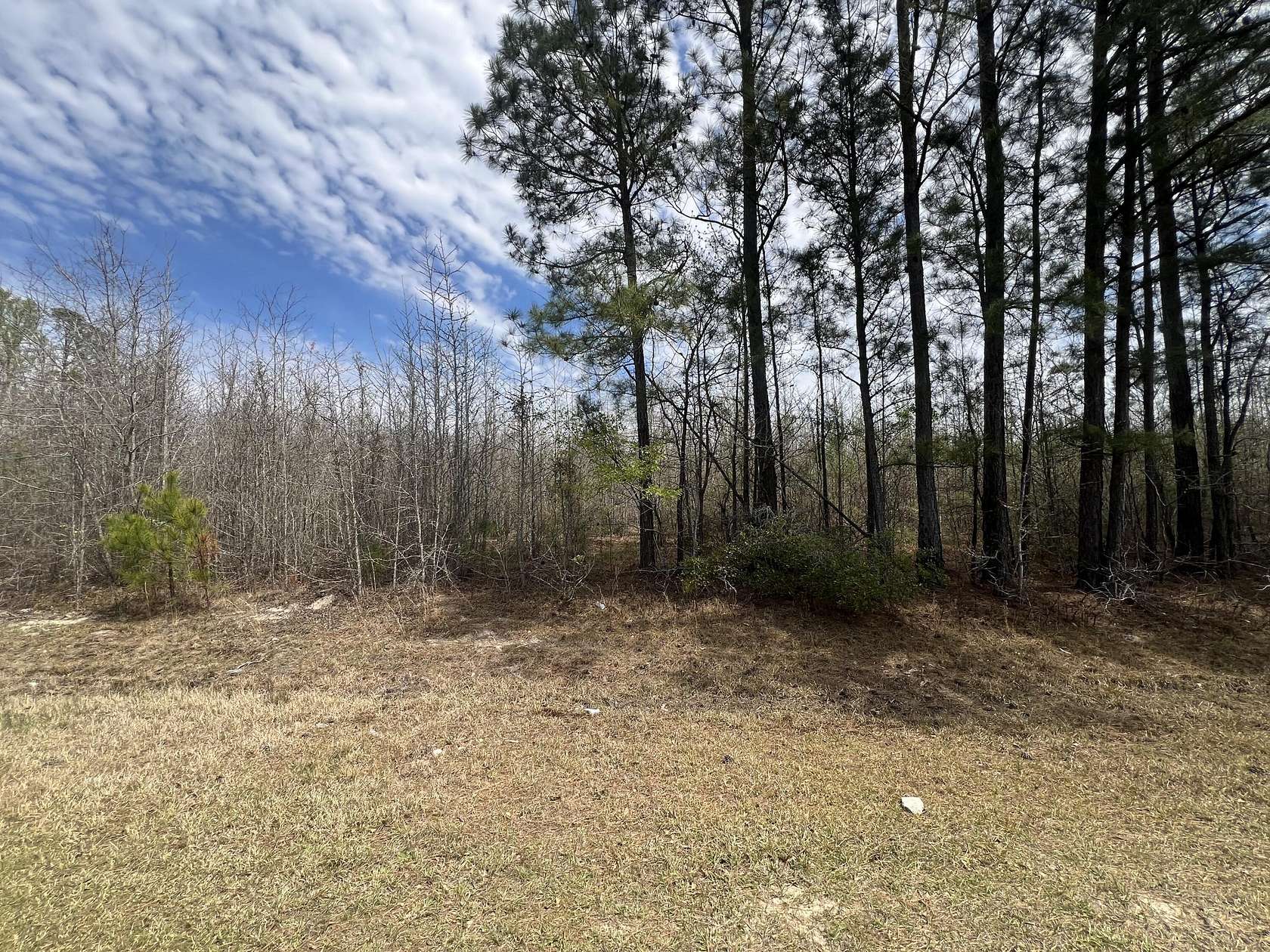 16.9 Acres of Land for Sale in Thomson, Georgia