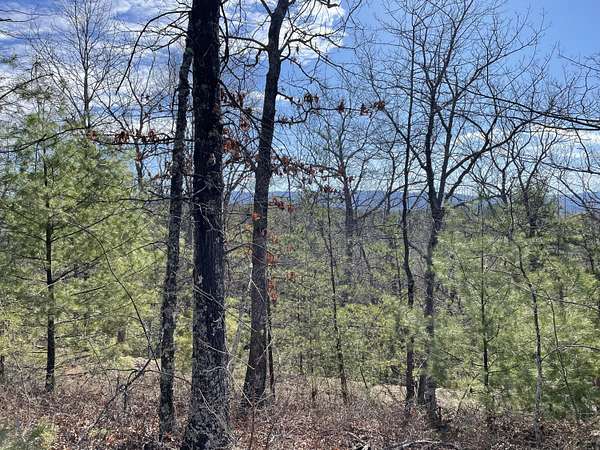 29.8 Acres of Recreational & Residential Land for Sale in Clifton Forge, Virginia