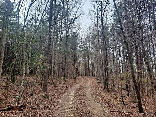 11.6 Acres of Land for Sale in Eldridge, Alabama