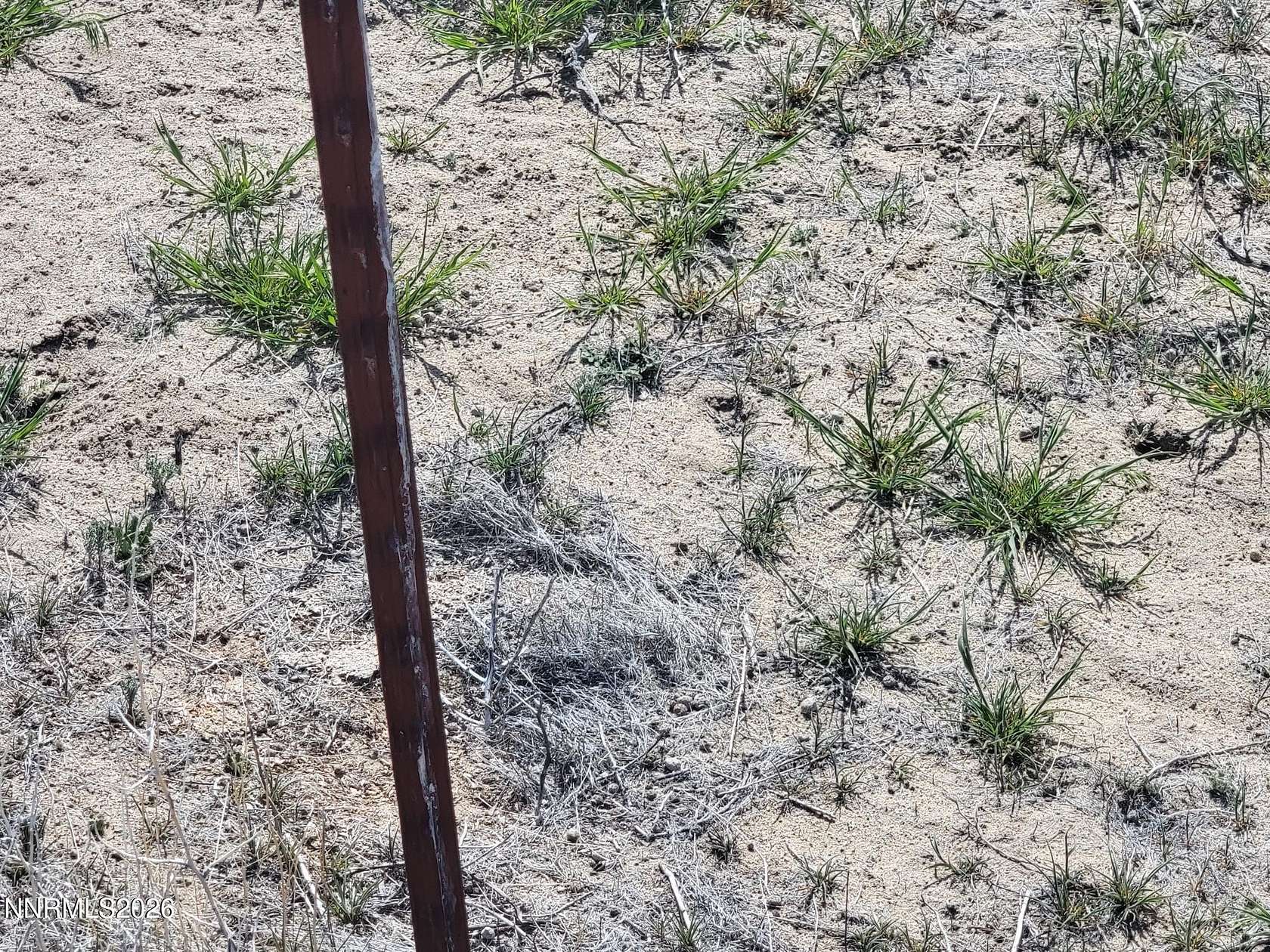 4.62 Acres of Residential Land for Sale in Silver Springs, Nevada